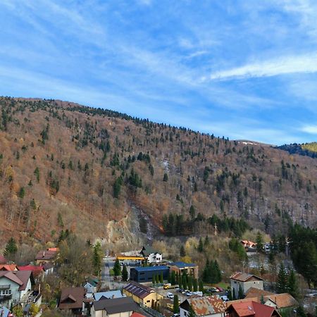 Апартаменти Apartament Panoramic View Сіная Екстер'єр фото
