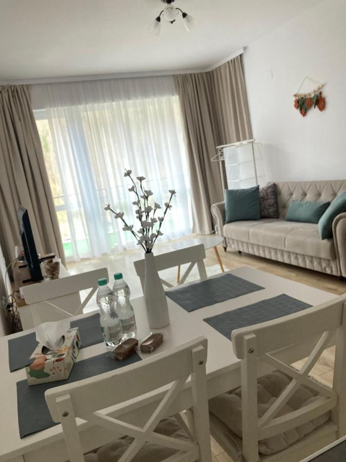 Апартаменти Apartament Panoramic View Сіная Екстер'єр фото