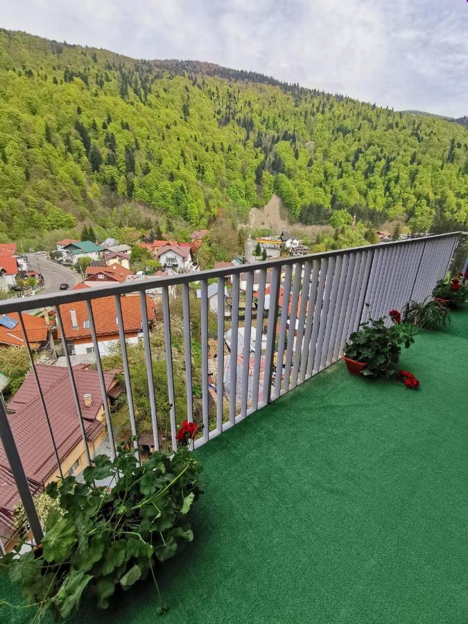 Апартаменти Apartament Panoramic View Сіная Екстер'єр фото