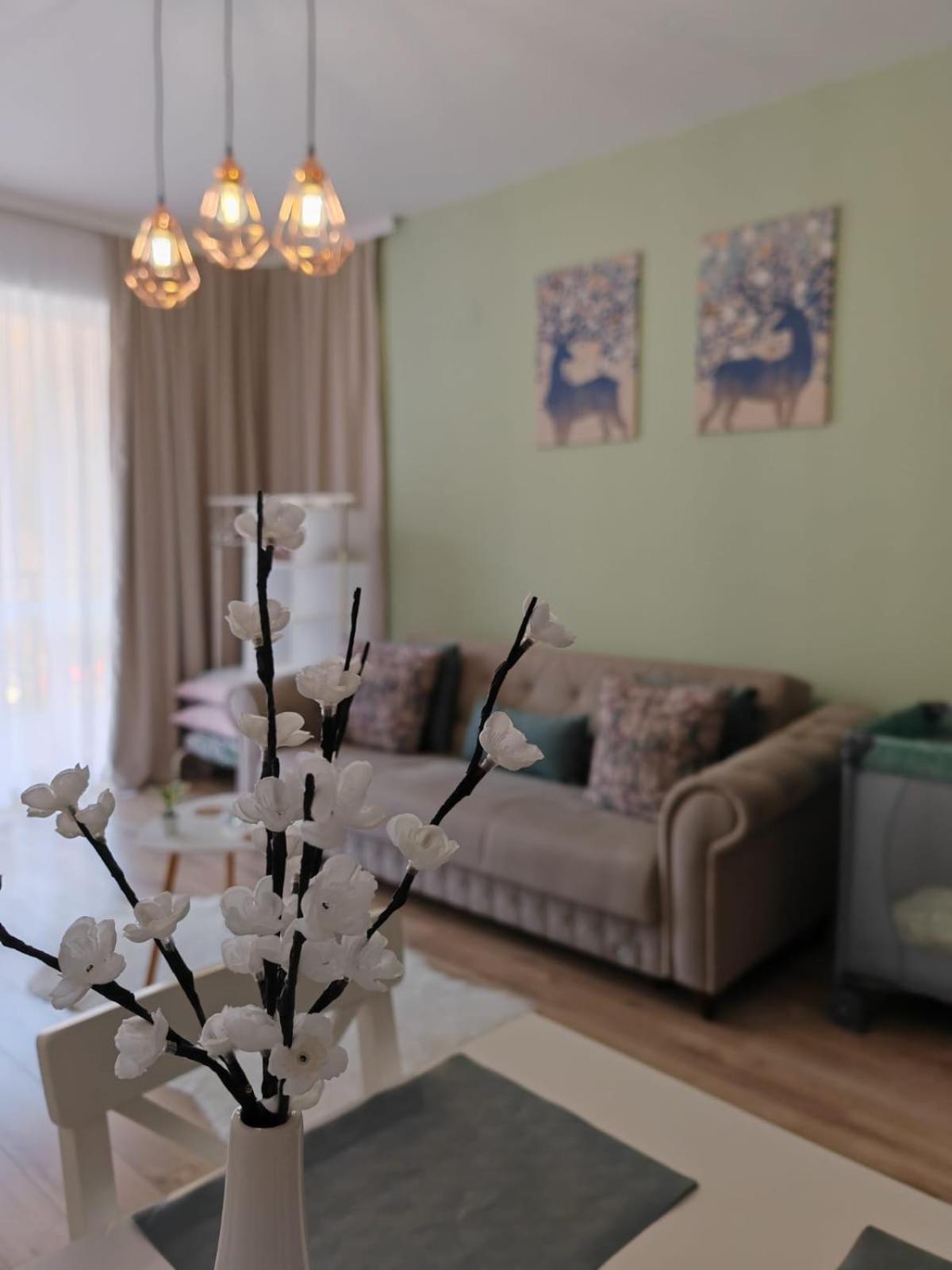 Апартаменти Apartament Panoramic View Сіная Екстер'єр фото